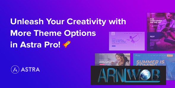 Best Theme for All Types of Websites Astra Pro Addon