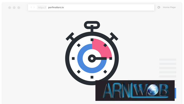 Improve Your Websites Speed with Perfmatters Version 242 A