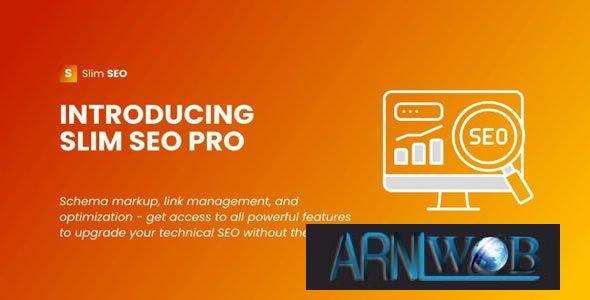 Professional slim SEO version 120