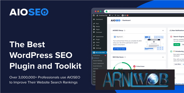 The Professional Version 4732 of the All in One SEO