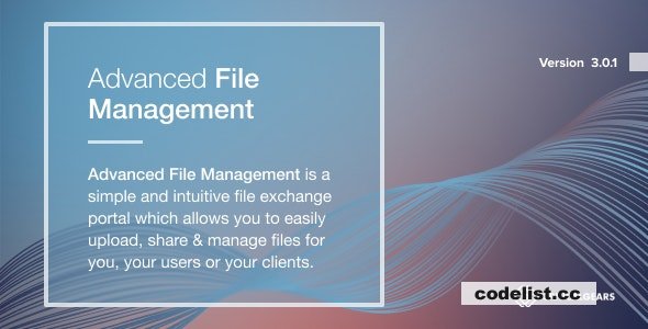 Enhanced File Organization Software Full Version