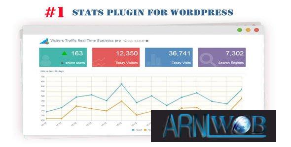 Real Time Visitor Traffic Statistics for Website Pro Version 111