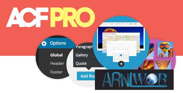 The Newest Version of Advanced Custom Fields Pro