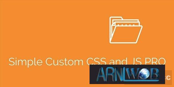 Customize Your Website Easily with Simple Custom CSS and JS