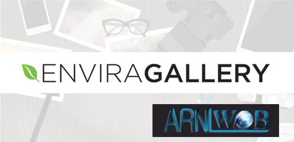 Envira Gallery version 1121 with Addons
