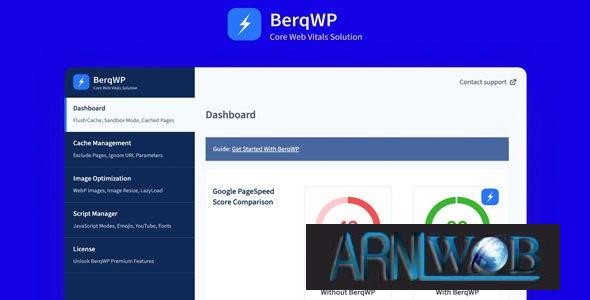 BerqWP Version 3019 The Ultimate Automated WordPress Plugin for Effortless